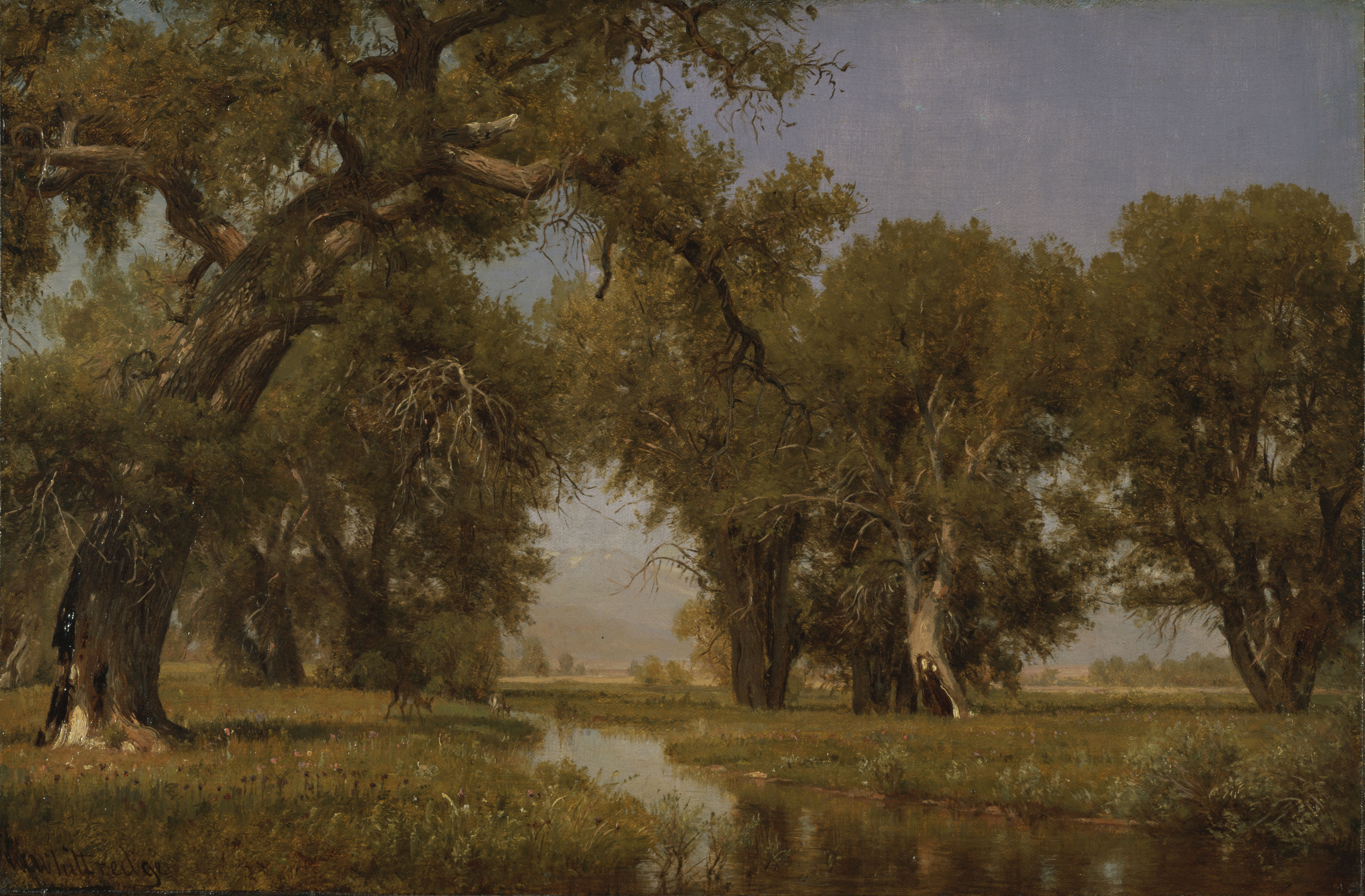 On the Cache la Poudre River by Worthington Whittredge