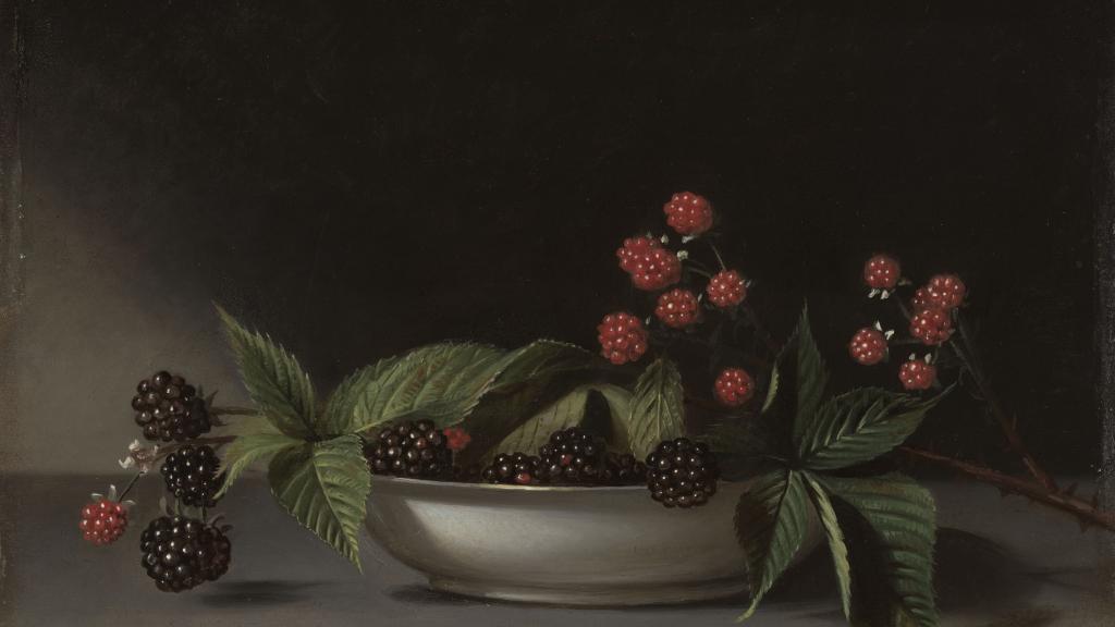 Blackberries by Raphaelle Peale