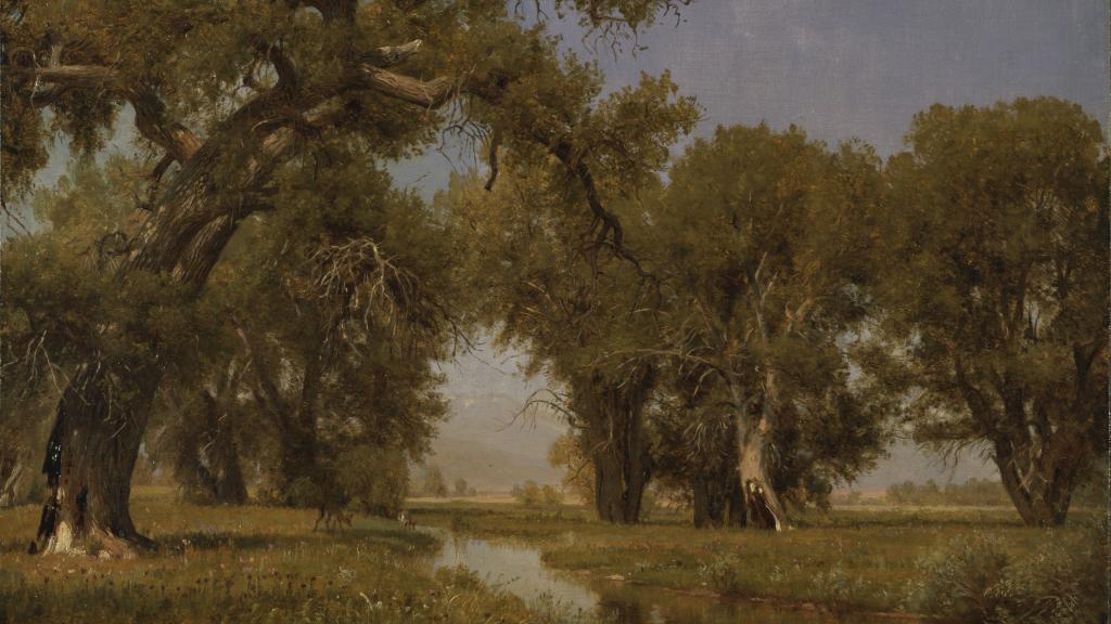 On the Cache la Poudre River by Worthington Whittredge
