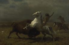 Study for "The Last of the Buffalo" by Albert Bierstadt